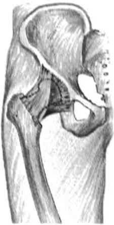 Равновесие в движении. Посадка всадника - i_088.jpg