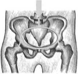 Равновесие в движении. Посадка всадника - i_089.jpg