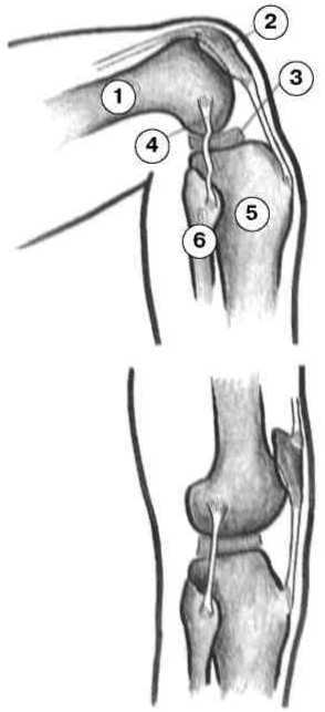 Равновесие в движении. Посадка всадника - i_090.jpg