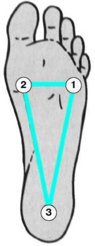 Равновесие в движении. Посадка всадника - i_092.jpg