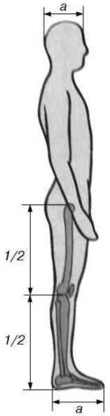 Равновесие в движении. Посадка всадника - i_093.jpg
