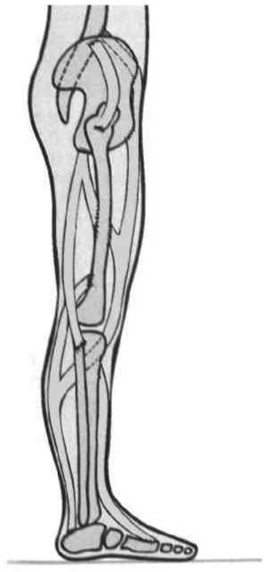 Равновесие в движении. Посадка всадника - i_101.jpg