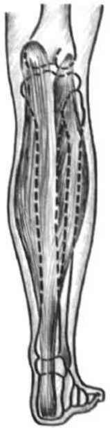 Равновесие в движении. Посадка всадника - i_102.jpg