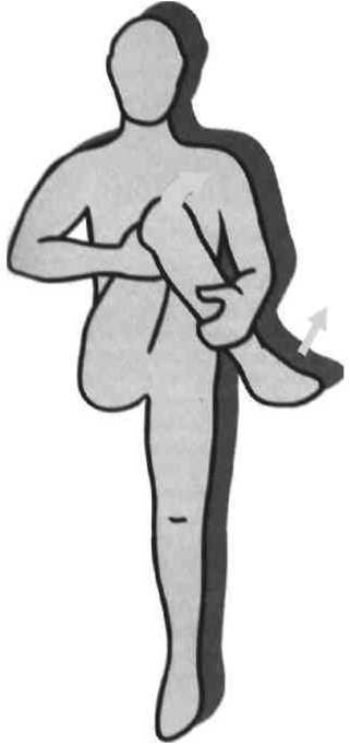 Равновесие в движении. Посадка всадника - i_103.jpg