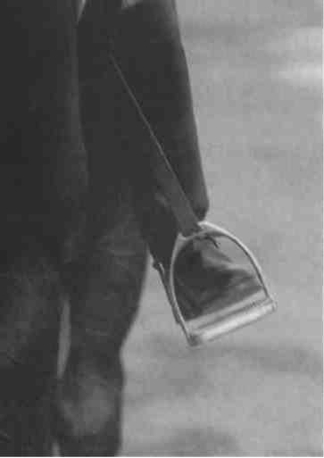 Равновесие в движении. Посадка всадника - i_113.jpg