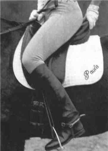 Равновесие в движении. Посадка всадника - i_114.jpg