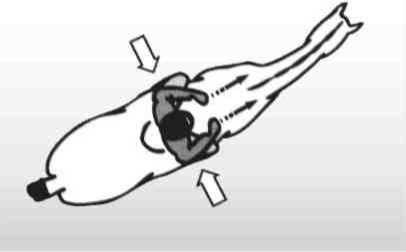 Равновесие в движении. Посадка всадника - i_120.jpg