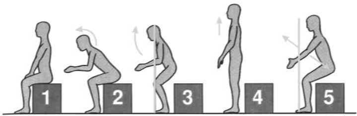 Равновесие в движении. Посадка всадника - i_122.jpg