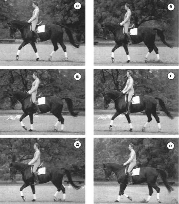 Равновесие в движении. Посадка всадника - i_124.jpg