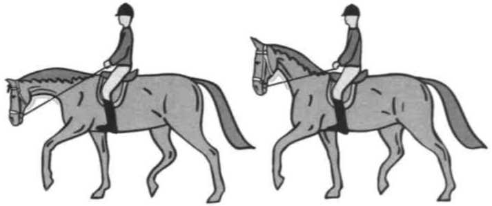 Равновесие в движении. Посадка всадника - i_140.jpg