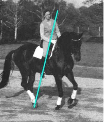 Равновесие в движении. Посадка всадника - i_144.jpg