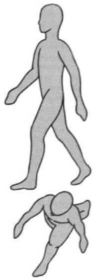 Равновесие в движении. Посадка всадника - i_145.jpg