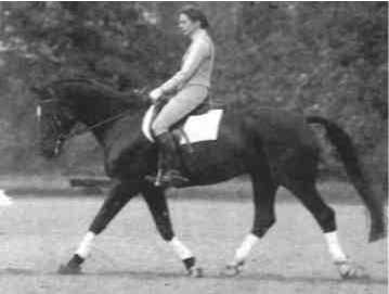 Равновесие в движении. Посадка всадника - i_148.jpg