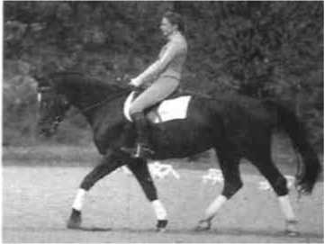 Равновесие в движении. Посадка всадника - i_149.jpg