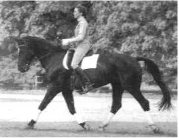 Равновесие в движении. Посадка всадника - i_150.jpg