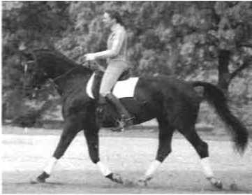 Равновесие в движении. Посадка всадника - i_151.jpg