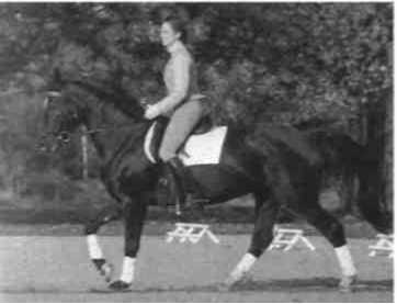 Равновесие в движении. Посадка всадника - i_152.jpg