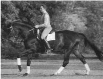 Равновесие в движении. Посадка всадника - i_153.jpg