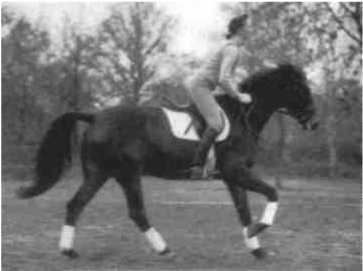 Равновесие в движении. Посадка всадника - i_154.jpg