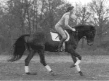 Равновесие в движении. Посадка всадника - i_155.jpg