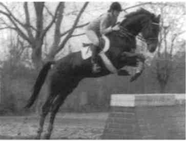 Равновесие в движении. Посадка всадника - i_156.jpg