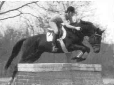 Равновесие в движении. Посадка всадника - i_160.jpg