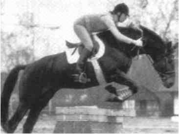 Равновесие в движении. Посадка всадника - i_162.jpg