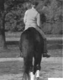 Равновесие в движении. Посадка всадника - i_166.jpg