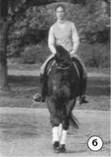 Равновесие в движении. Посадка всадника - i_167.jpg