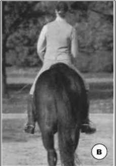 Равновесие в движении. Посадка всадника - i_168.jpg