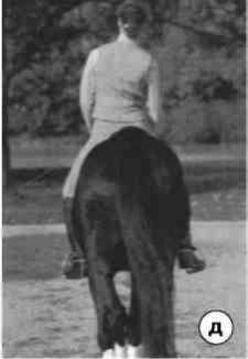 Равновесие в движении. Посадка всадника - i_170.jpg