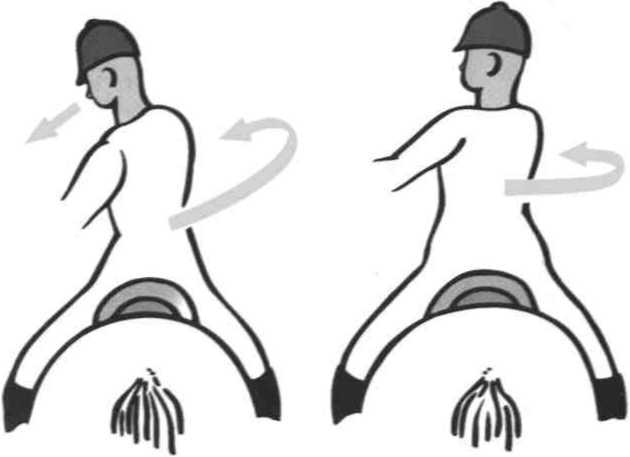 Равновесие в движении. Посадка всадника - i_172.jpg