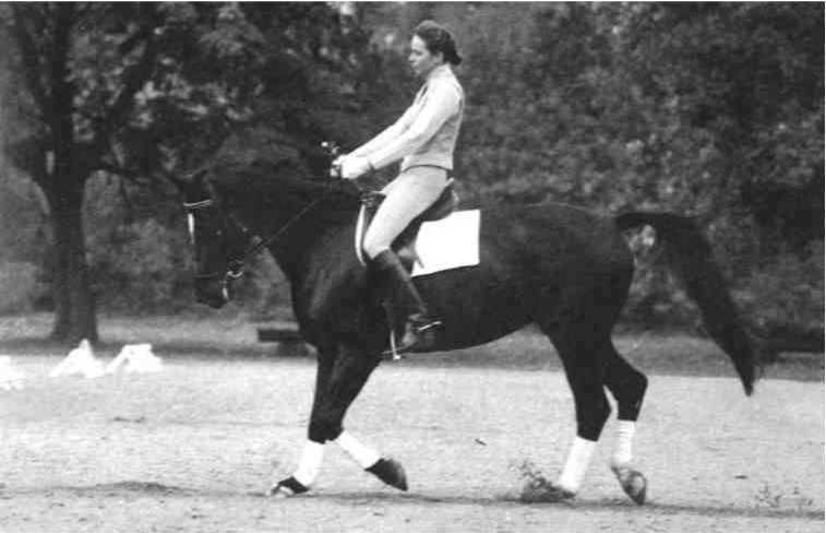 Равновесие в движении. Посадка всадника - i_174.jpg