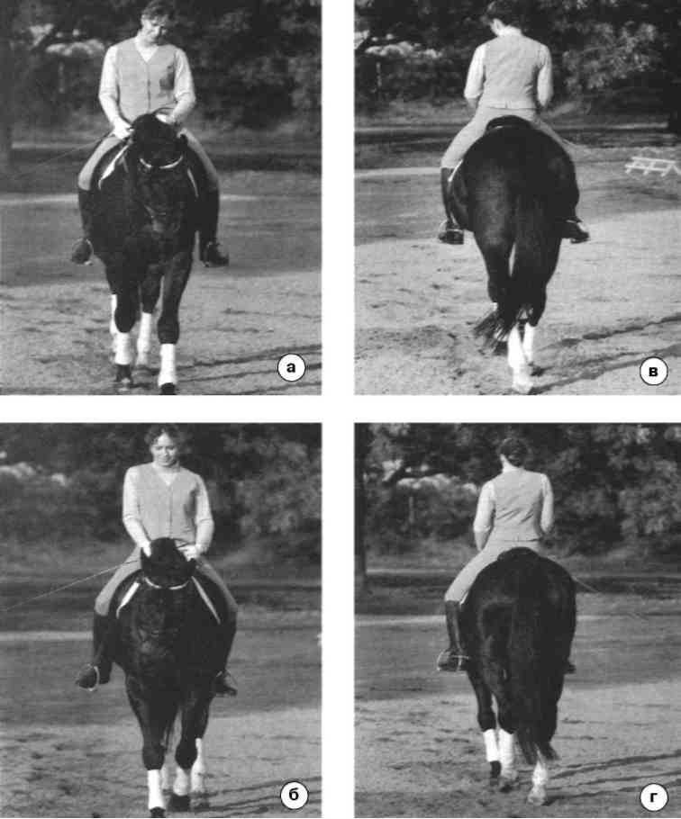 Равновесие в движении. Посадка всадника - i_176.jpg