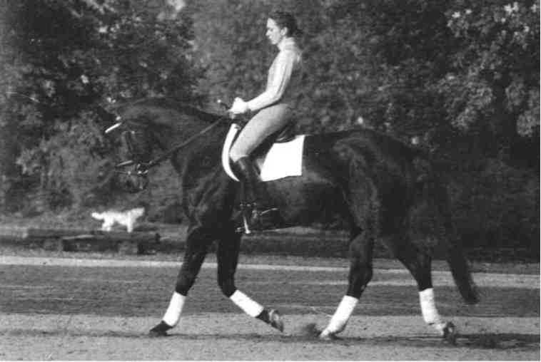 Равновесие в движении. Посадка всадника - i_178.jpg