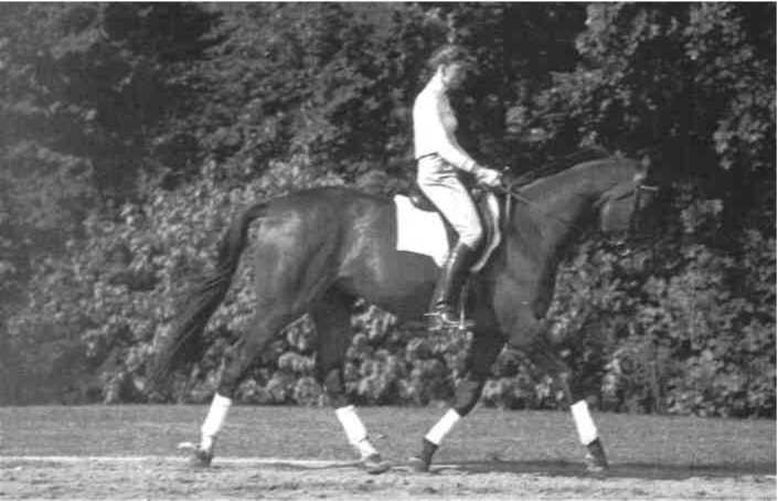 Равновесие в движении. Посадка всадника - i_182.jpg