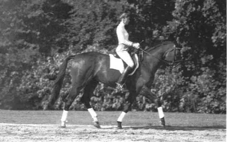 Равновесие в движении. Посадка всадника - i_183.jpg