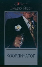  Йорк Эндрю - Ликвидатор