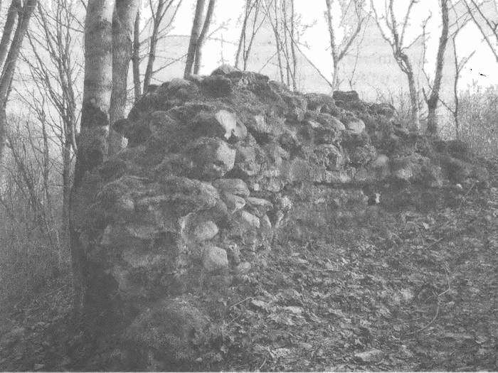 Шедевры нашей старины - i_037.jpg