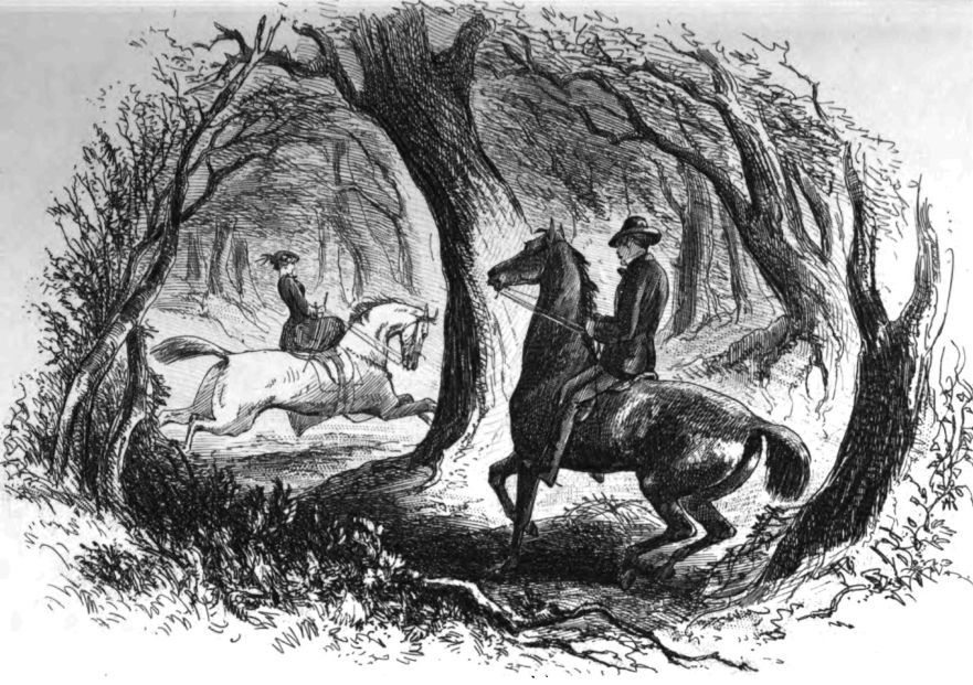 Семейство Доддов за границей - _2104000.jpg