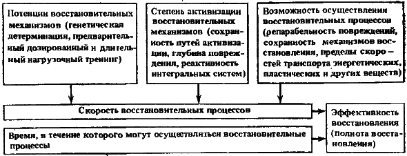 Биофизика познает рак - i_011.png