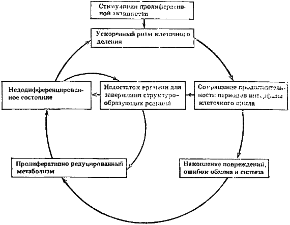 Биофизика познает рак - i_015.png