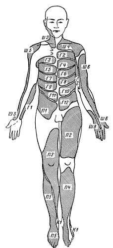 Боль и обезболивание - _11.jpg