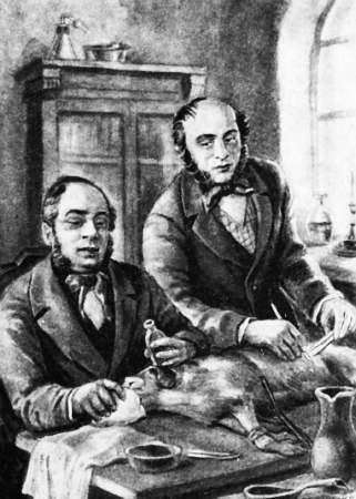 Боль и обезболивание - _44.jpg