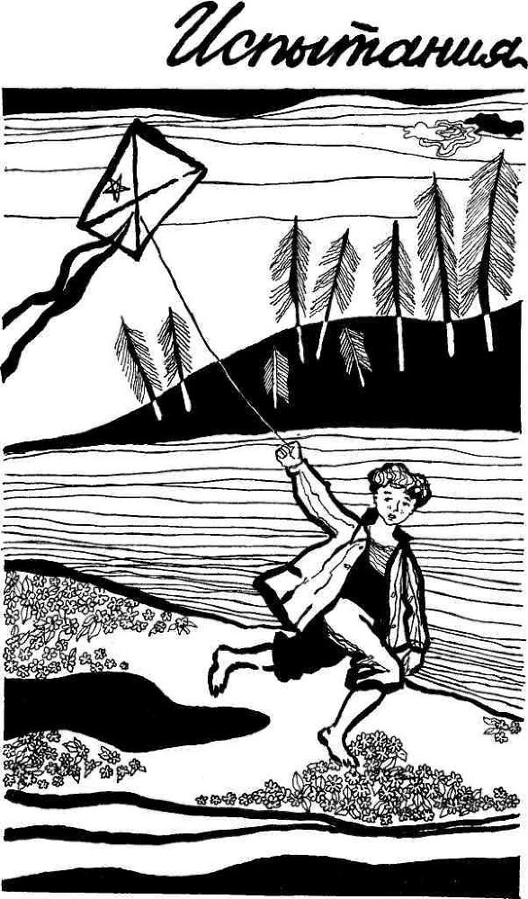 За борами за дремучими - img_4.jpeg