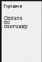  Городков Станислав Евгеньевич - Оплата по счетчику (СИ)
