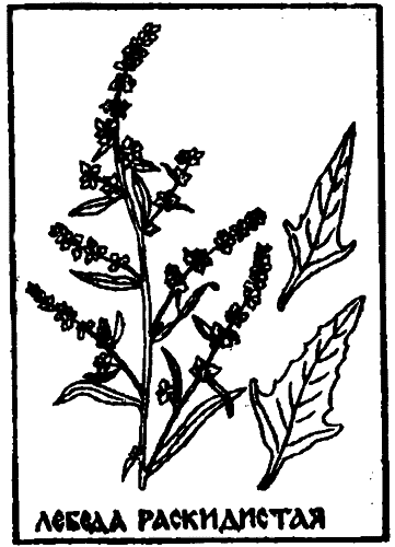 По дедовским рецептам - i_014.png