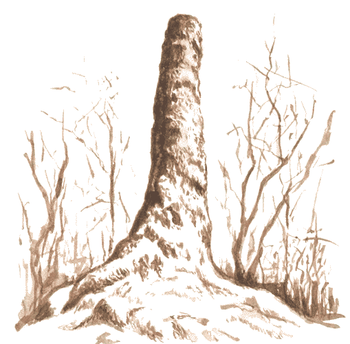 Кузнечик дорогой. Эволюционно-экологические очерки - i_032.png