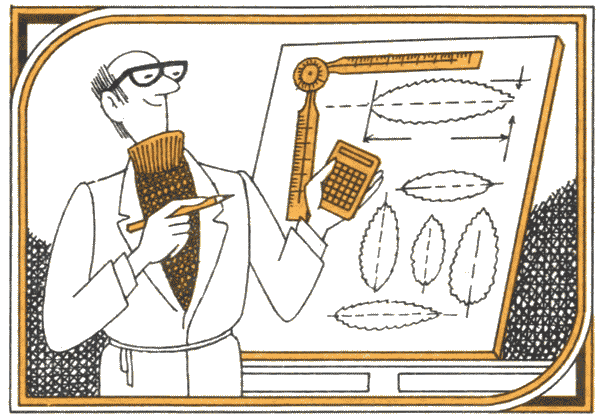 Все о чае - i_018.png