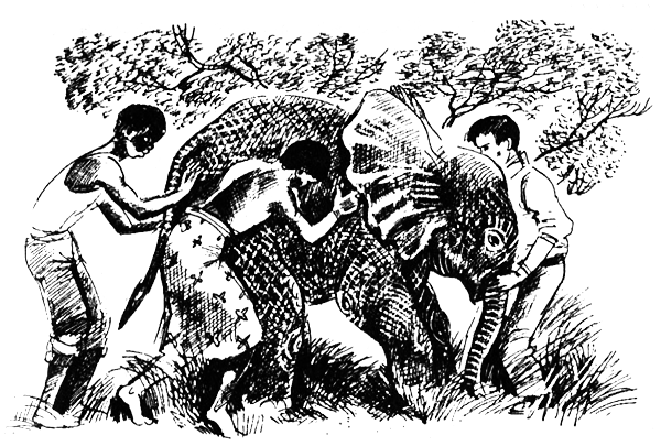 Семья Майклов в Африке - i_018.png